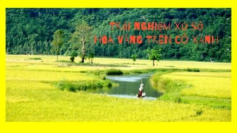 Thua đội cuối bảng vì sai lầm khó hiểu, HLV Quảng Nam nhắn tin xin từ chức
