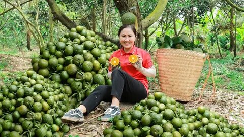 Mẹo làm mướp đắng hết đắng tới 70% không phải ai cũng biết